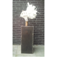 Column 30  