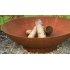Cortensteel fire bowl 60 deep